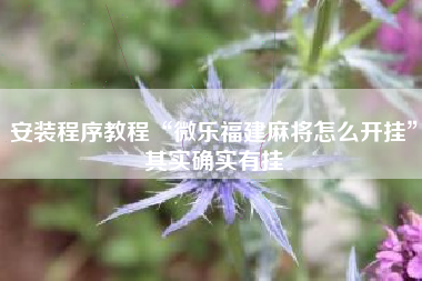 安装程序教程“微乐福建麻将怎么开挂”其实确实有挂