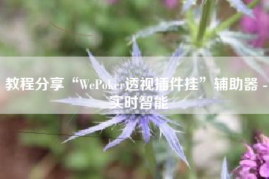 教程分享“WePoker透视插件挂”辅助器 - 实时智能