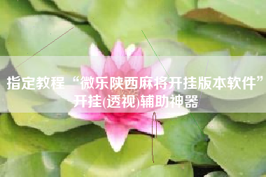 指定教程“微乐陕西麻将开挂版本软件	”开挂(透视)辅助神器