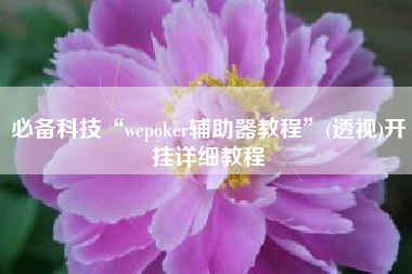 必备科技“wepoker辅助器教程	”(透视)开挂详细教程
