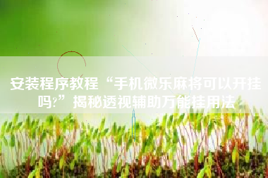 安装程序教程“手机微乐麻将可以开挂吗?	”揭秘透视辅助万能挂用法