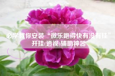 必学教你安装“微乐跑得快有没有挂	”开挂(透视)辅助神器