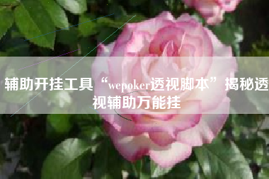 辅助开挂工具“wepoker透视脚本”揭秘透视辅助万能挂