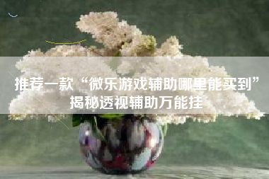 推荐一款“微乐游戏辅助哪里能买到	”揭秘透视辅助万能挂