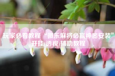 玩家必看教程“微乐麻将必赢神器安装	”开挂(透视)辅助教程