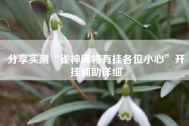 分享实测“雀神麻将有挂各位小心”开挂辅助详细