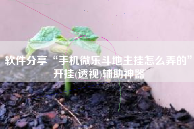 软件分享“手机微乐斗地主挂怎么弄的	”开挂(透视)辅助神器