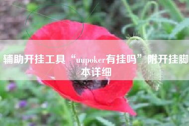 辅助开挂工具“uupoker有挂吗”附开挂脚本详细