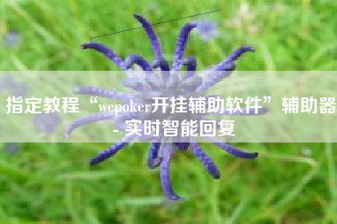 指定教程“wepoker开挂辅助软件”辅助器 - 实时智能回复