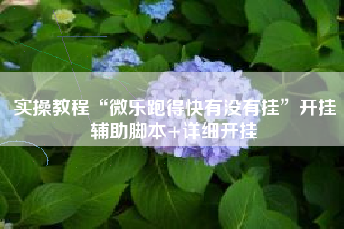 实操教程“微乐跑得快有没有挂”开挂辅助脚本+详细开挂