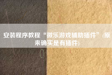 安装程序教程“微乐游戏辅助插件	”(原来确实是有插件)