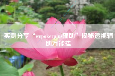 实测分享“wepokerplus辅助	”揭秘透视辅助万能挂