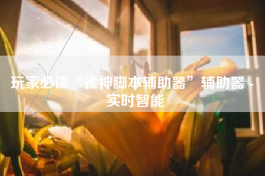 玩家必读“雀神脚本辅助器	”辅助器 - 实时智能