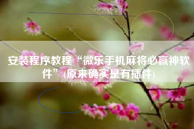 安装程序教程“微乐手机麻将必赢神软件”(原来确实是有插件)