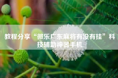 教程分享“微乐广东麻将有没有挂”科技辅助神器手机