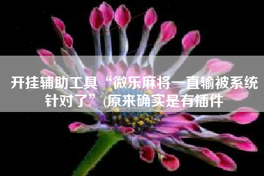 开挂辅助工具“微乐麻将一直输被系统针对了”(原来确实是有插件