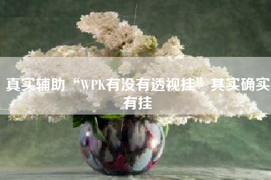 真实辅助“WPK有没有透视挂”其实确实有挂
