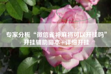 专家分析“微信雀神麻将可以开挂吗	”开挂辅助脚本+详细开挂