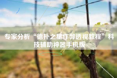 专家分析“德扑之星作弊透视教程”科技辅助神器手机版