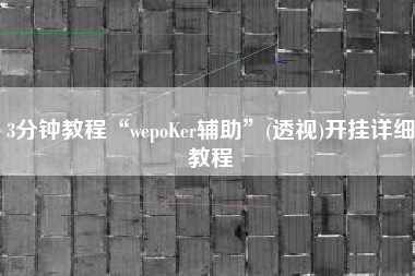 3分钟教程“wepoKer辅助”(透视)开挂详细教程