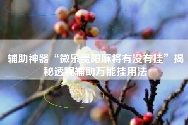 辅助神器“微乐贵阳麻将有没有挂”揭秘透视辅助万能挂用法