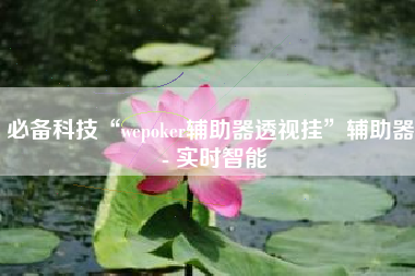 必备科技“wepoker辅助器透视挂”辅助器 - 实时智能