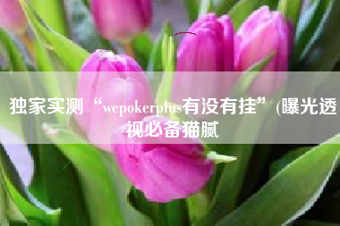 独家实测“wepokerplus有没有挂”(曝光透视必备猫腻
