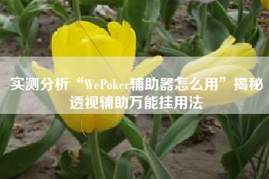 实测分析“WePoker辅助器怎么用”揭秘透视辅助万能挂用法