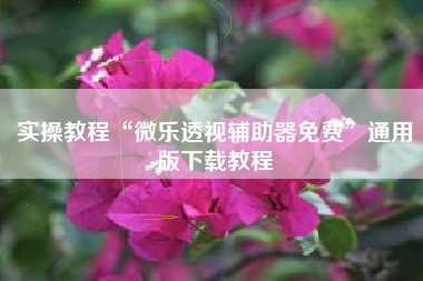 实操教程“微乐透视辅助器免费”通用版下载教程