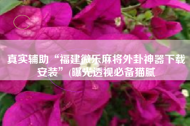 真实辅助“福建微乐麻将外卦神器下载安装”(曝光透视必备猫腻