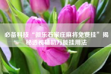 必备科技“微乐石家庄麻将免费挂”揭秘透视辅助万能挂用法