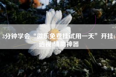 3分钟学会“微乐免费挂试用一天	”开挂(透视)辅助神器
