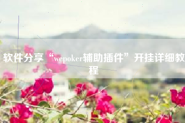 软件分享“wepoker辅助插件”开挂详细教程
