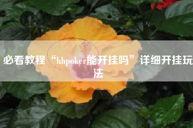 必看教程“hhpoker能开挂吗”详细开挂玩法