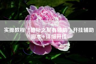 实操教程“德扑之星有辅助”开挂辅助脚本+详细开挂