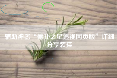 辅助神器“德扑之星透视网页版”详细分享装挂