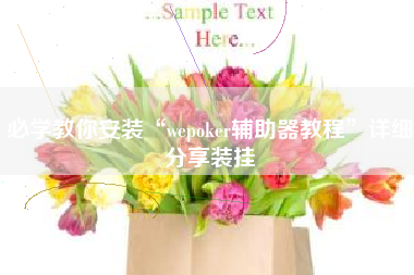 必学教你安装“wepoker辅助器教程”详细分享装挂