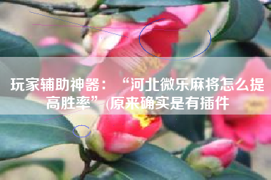 玩家辅助神器：“河北微乐麻将怎么提高胜率”(原来确实是有插件