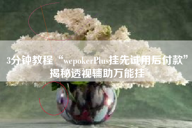 3分钟教程“wepokerPlus挂先试用后付款”揭秘透视辅助万能挂
