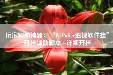 玩家辅助神器：“WePoKer透视软件挂”开挂辅助脚本+详细开挂