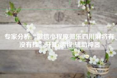 专家分析“微信小程序微乐四川麻将有没有挂	”开挂(透视)辅助神器