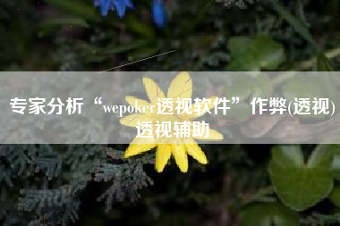 专家分析“wepoker透视软件”作弊(透视)透视辅助
