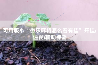 可用版本“微乐麻将怎么看有挂”开挂(透视)辅助神器