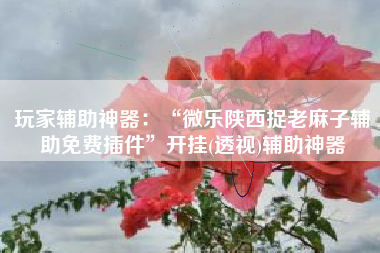 玩家辅助神器：“微乐陕西捉老麻子辅助免费插件”开挂(透视)辅助神器