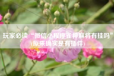 玩家必读“微信小程序雀神麻将有挂吗”(原来确实是有插件)