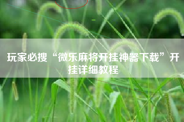 玩家必搜“微乐麻将开挂神器下载”开挂详细教程