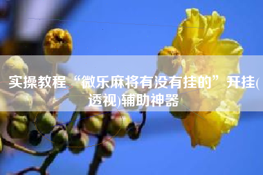 实操教程“微乐麻将有没有挂的”开挂(透视)辅助神器