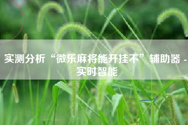 实测分析“微乐麻将能开挂不”辅助器 - 实时智能