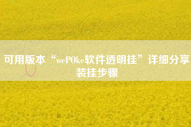 可用版本“wePOke软件透明挂”详细分享装挂步骤