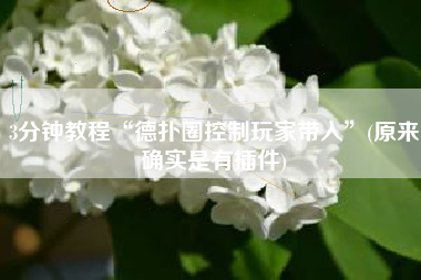 3分钟教程“德扑圈控制玩家带入	”(原来确实是有插件)